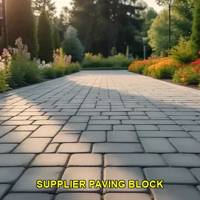 supplier paving block
